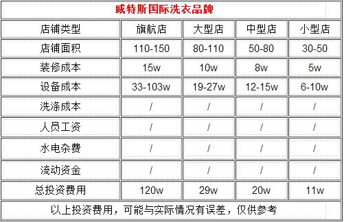 干洗店投資成本,威特斯品牌價格親民