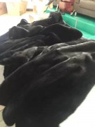 干洗店加盟:威特斯洗衣干洗技術(shù)專業(yè)教學(xué)